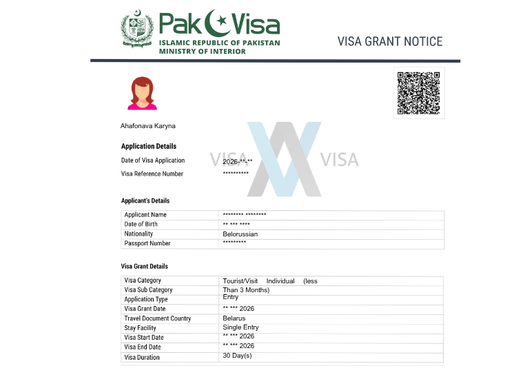 Электронная виза в Пакистан