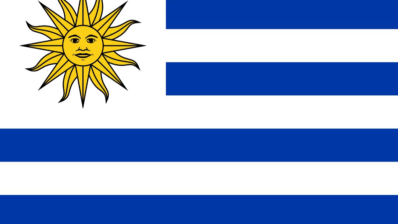 Виза в Уругвай_flag